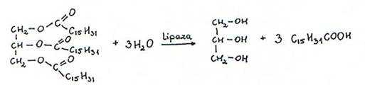 Продуктами этой реакции являются: глицерин и пальмитиновая кислота
